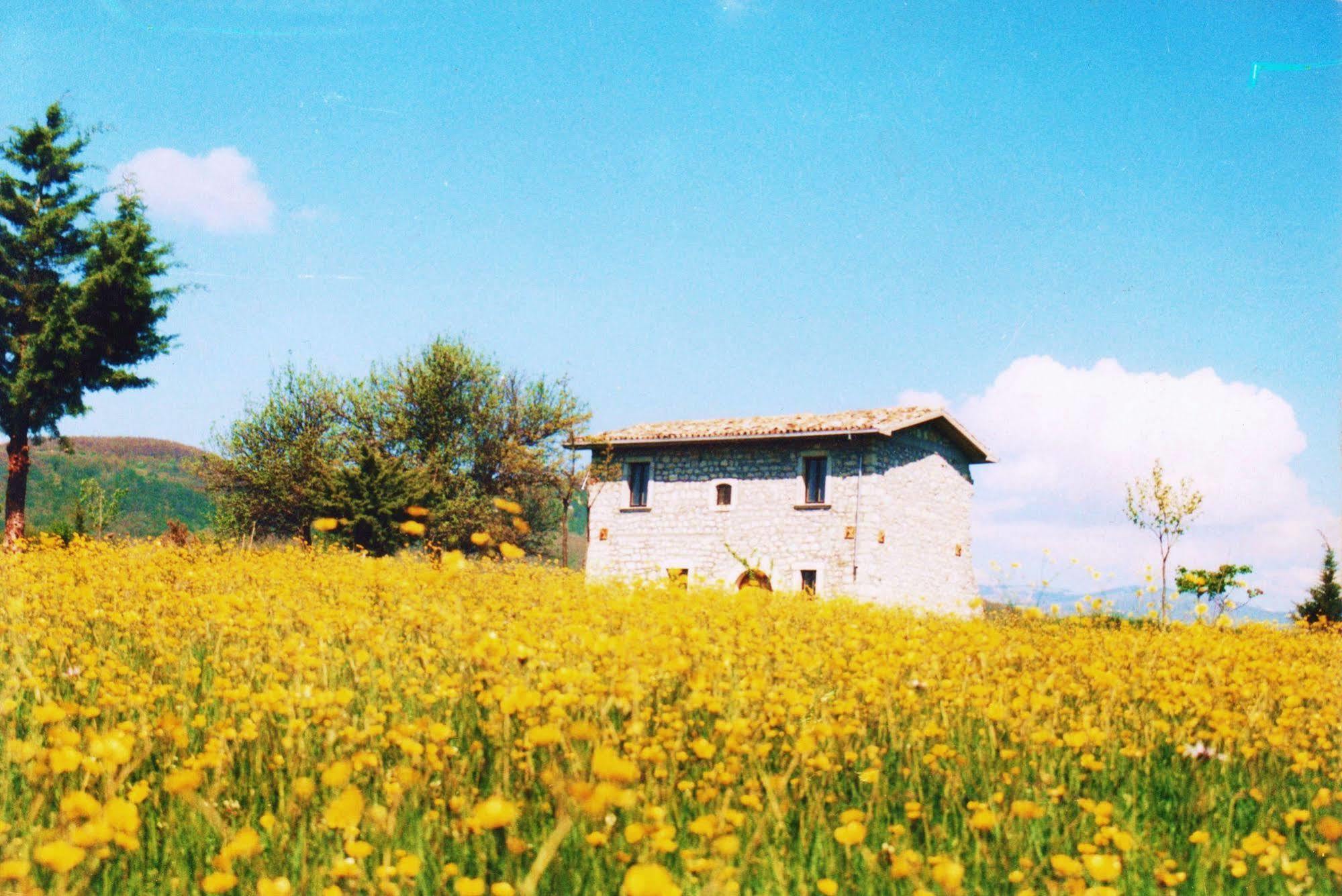 Casino Tonti Iarussi Villa Forlì del Sannio Buitenkant foto